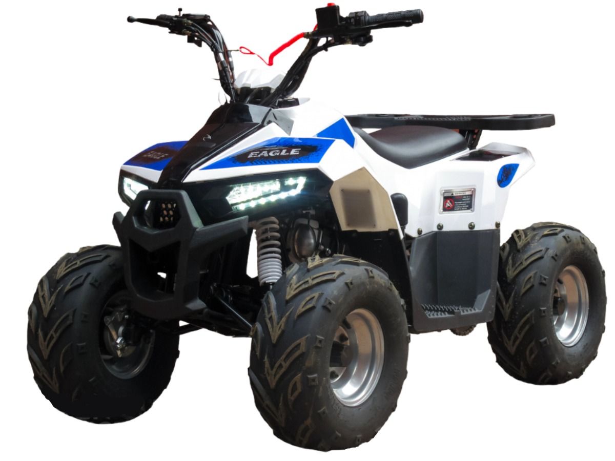 Купить Квадроцикл BISON ATV 110 Eagle New