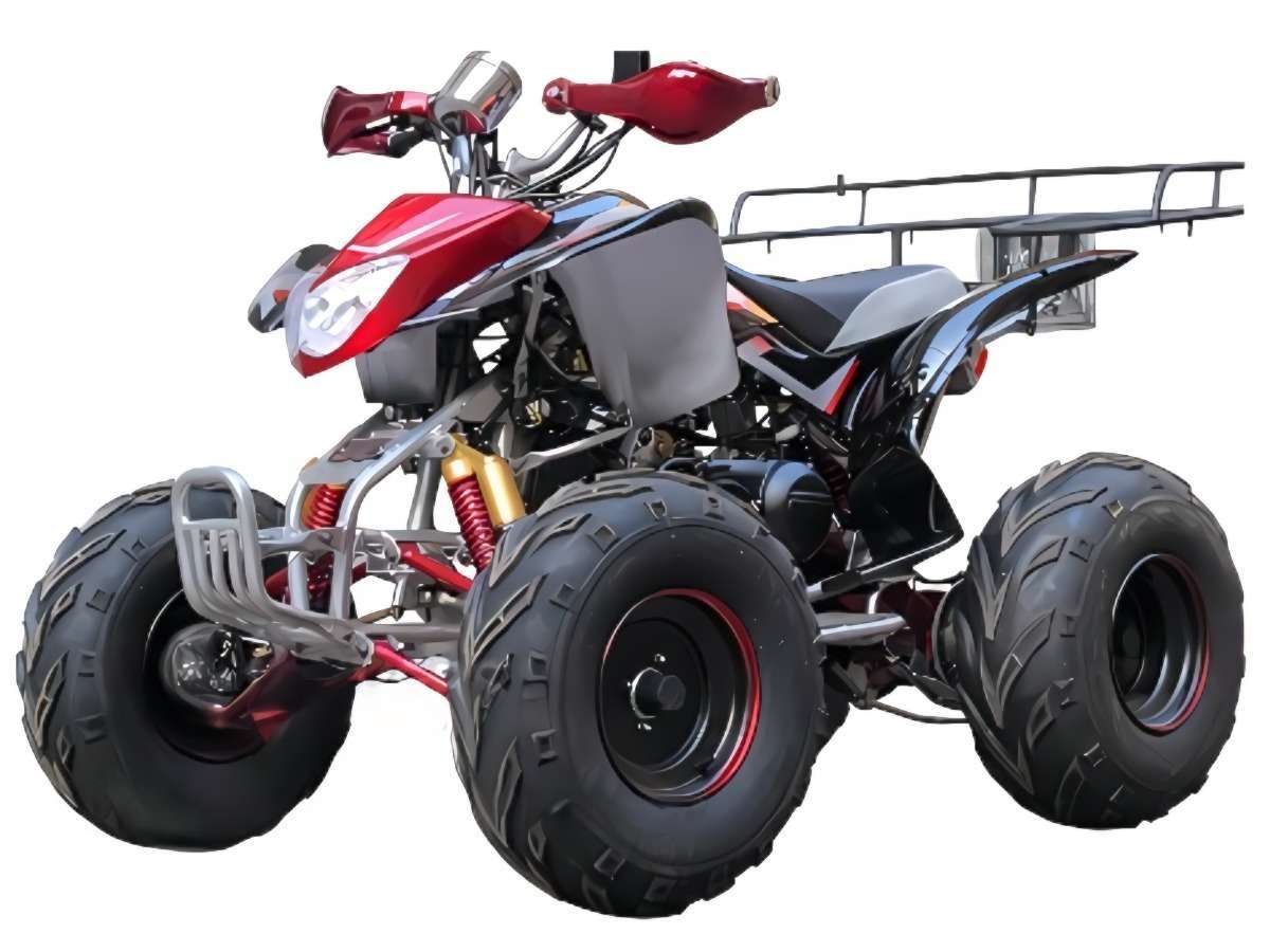 Купить Квадроцикл BISON Raptor 150 Sport