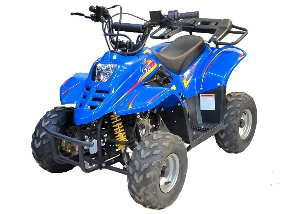 Купить Квадроцикл BISON Super Mini 110