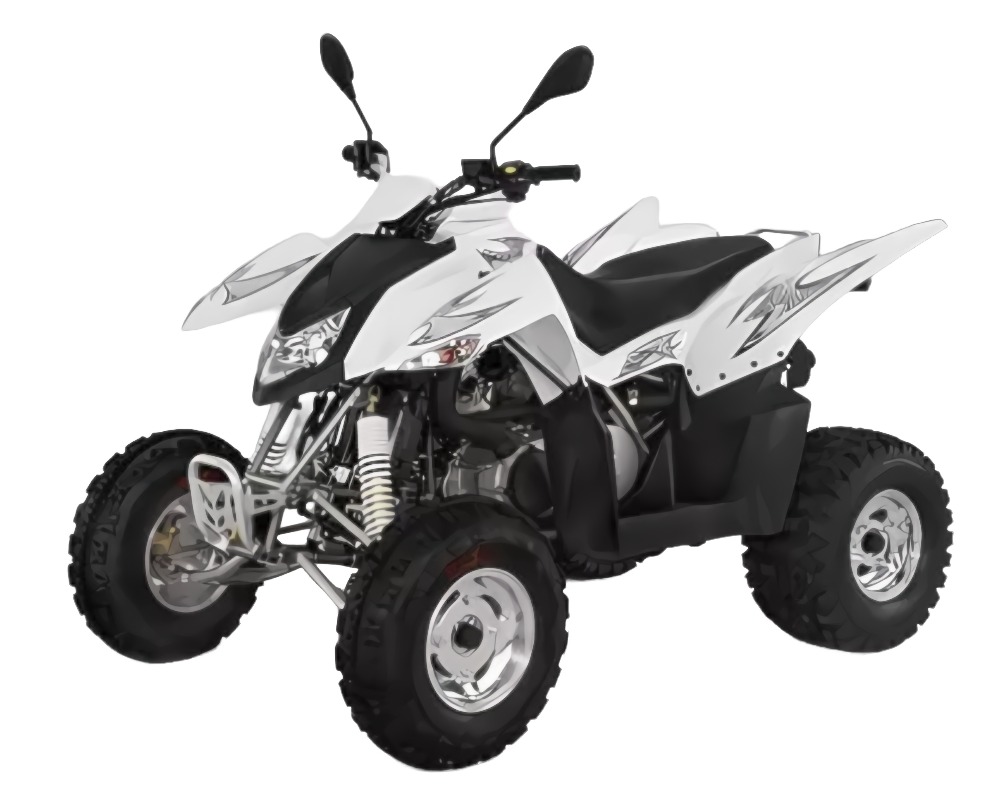 Купить Квадроцикл BURELLI Rebel GPR XXL