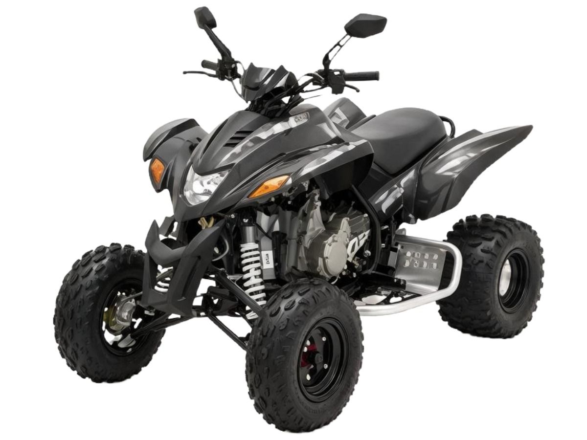 Купить Квадроцикл DINLI Sports 450 Special Onroad