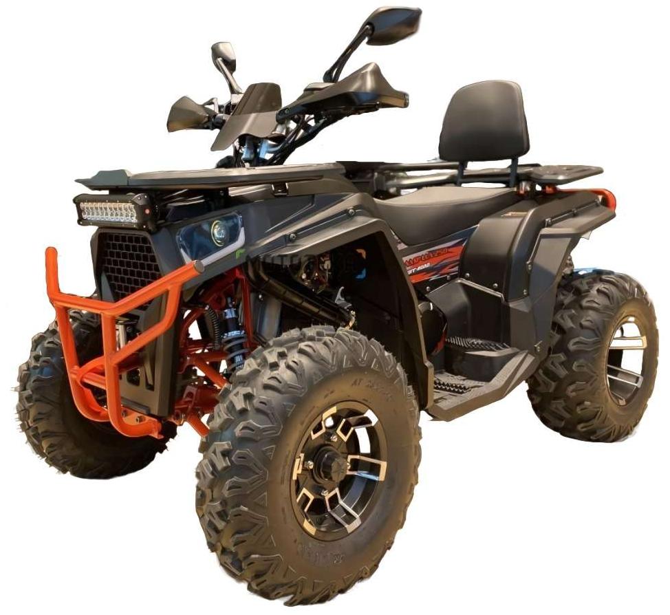 Купить Квадроцикл FXMOTO Wasp 250 Lux