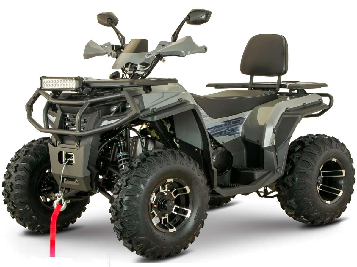 Купить Квадроцикл YAСOTA Viking Long 250 Pro