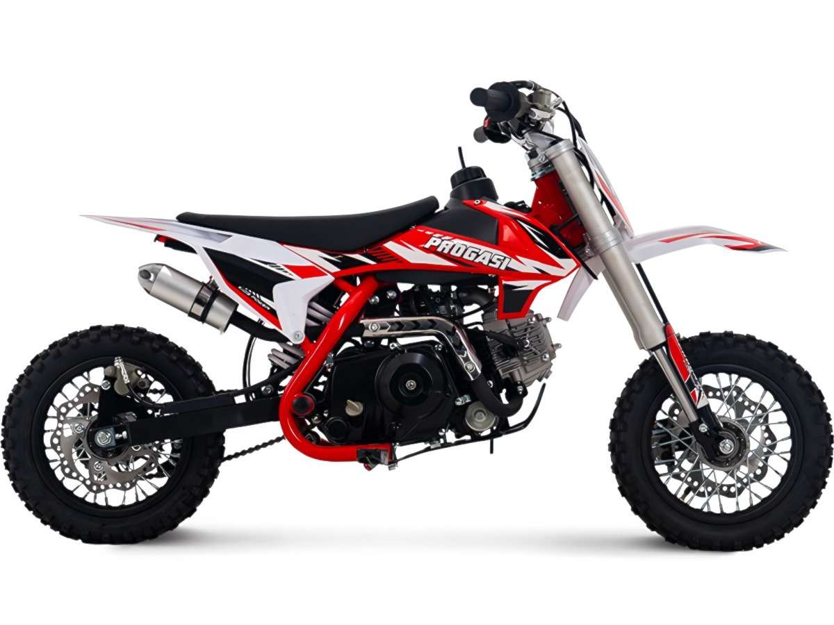 Купить Питбайк PROGASI Kids Power 110 12/10