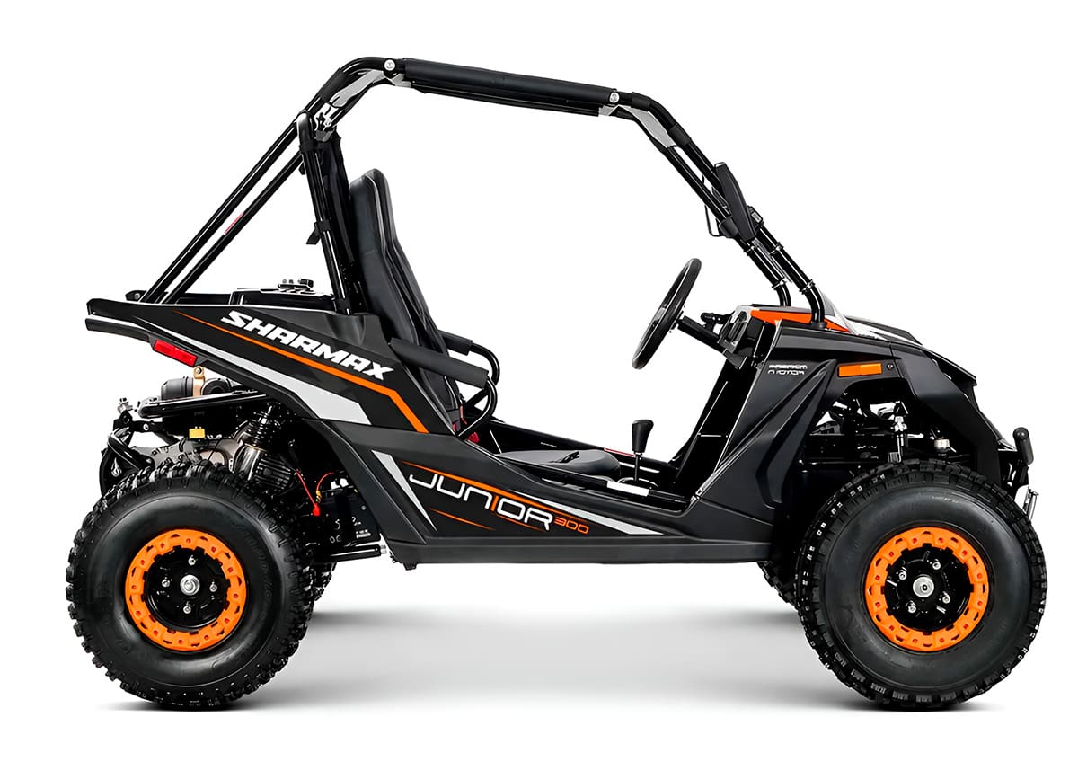 Багги SHARMAX Junior 300 цена в Санкт-Петербурге