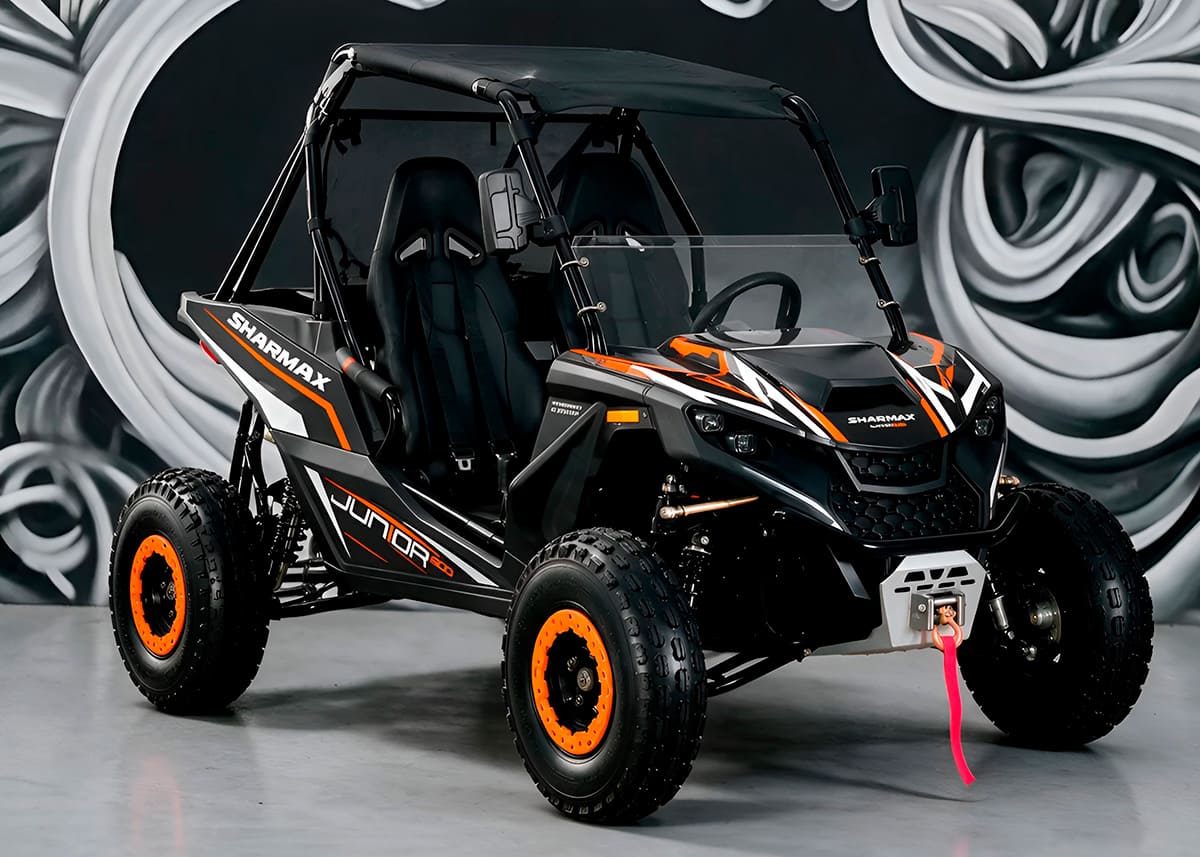 Багги SHARMAX Junior 300 фото 2