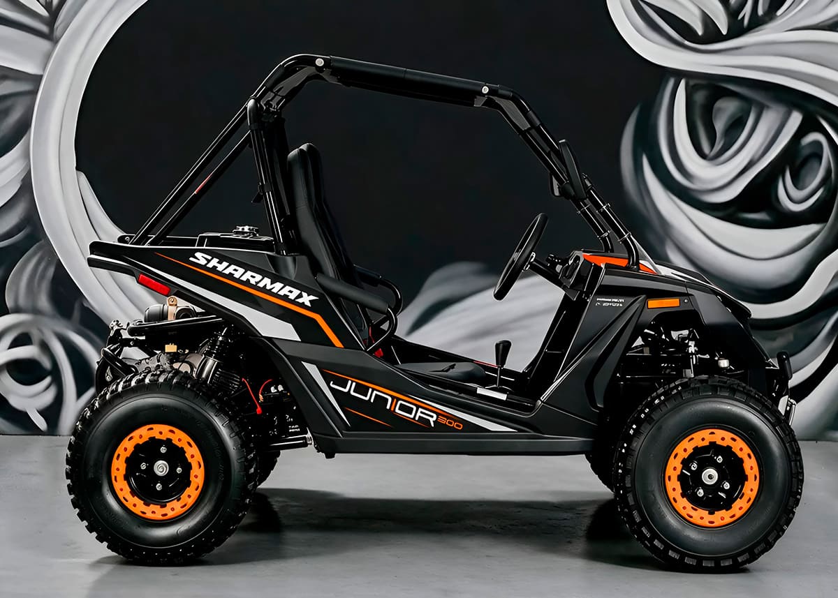 Багги SHARMAX Junior 300 фото 3
