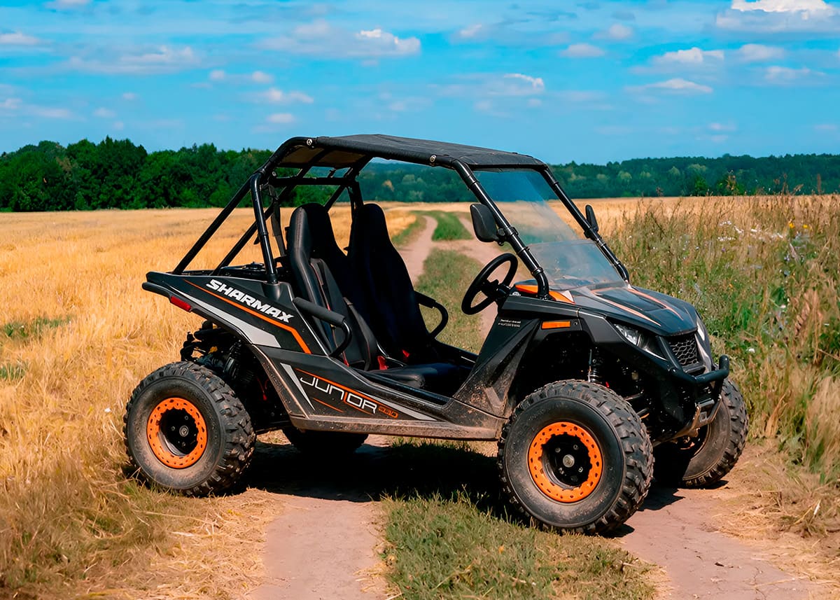 Багги SHARMAX Junior 300 фото 8