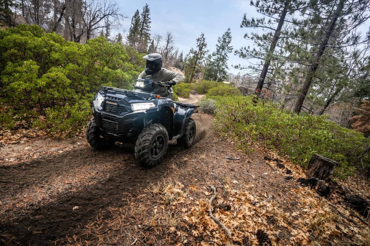 Квадроцикл KAWASAKI Brute Force 750 2026 фото 3