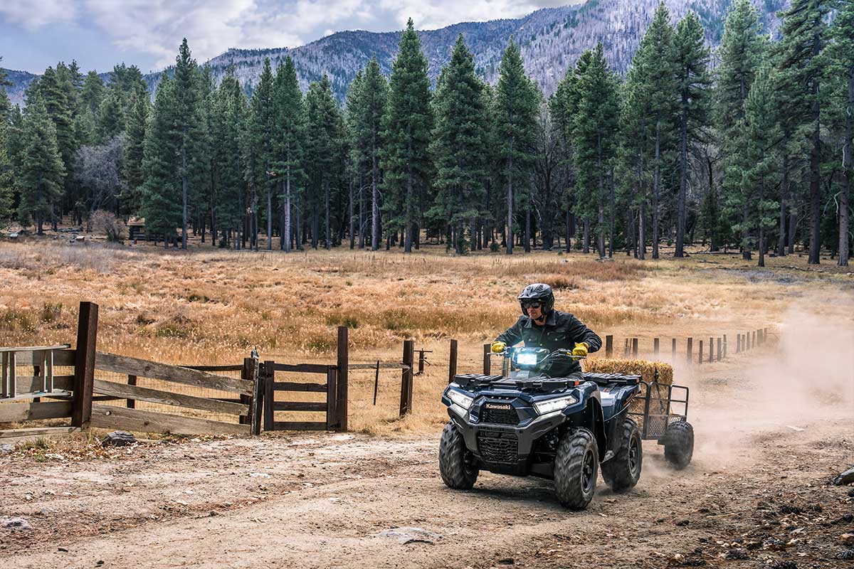 Квадроцикл KAWASAKI Brute Force 750 EPS 2025 фото 13