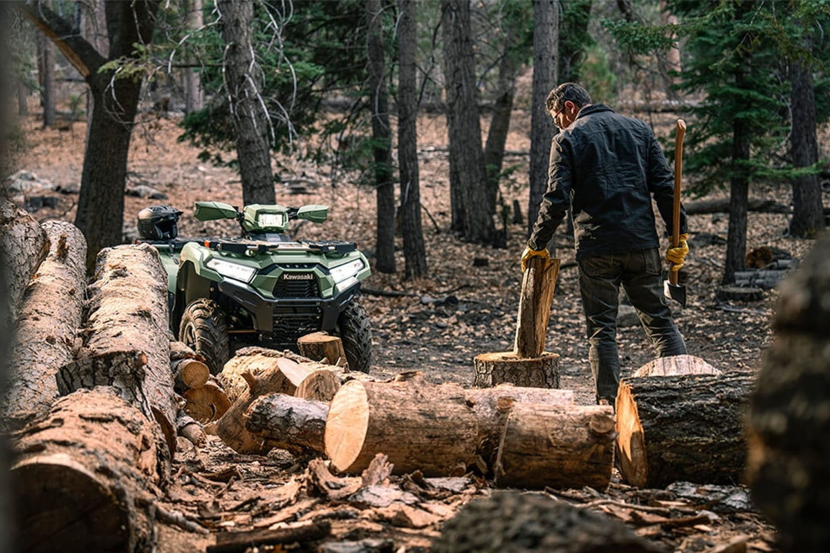 Квадроцикл KAWASAKI Brute Force 750 LE 2025 фото 6