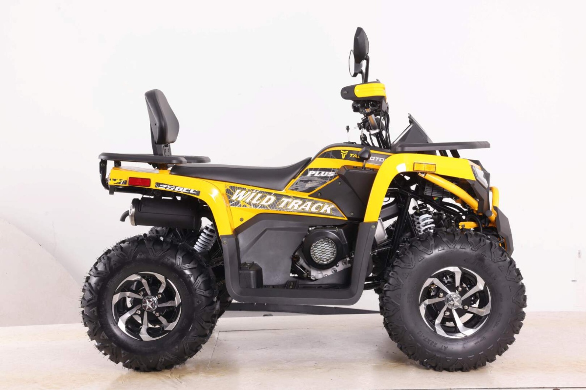 Квадроцикл MOTOLAND VOX250 WILD TRACK X PLUS фото 2