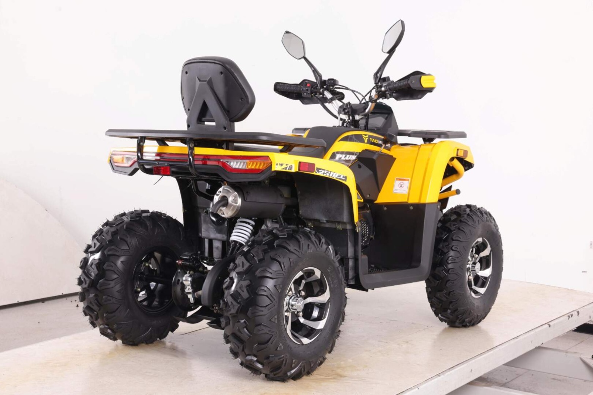 Квадроцикл MOTOLAND VOX250 WILD TRACK X PLUS фото 3