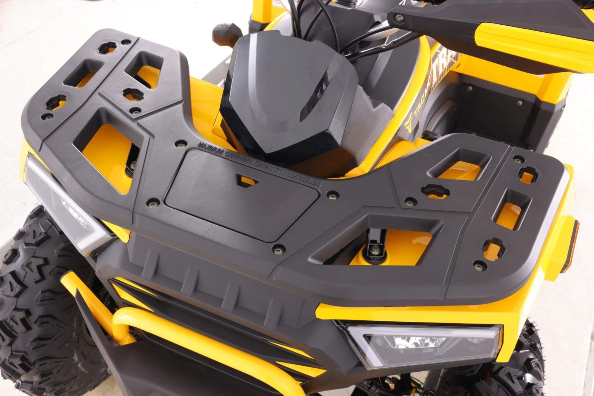 Квадроцикл MOTOLAND VOX250 WILD TRACK X PLUS фото 4