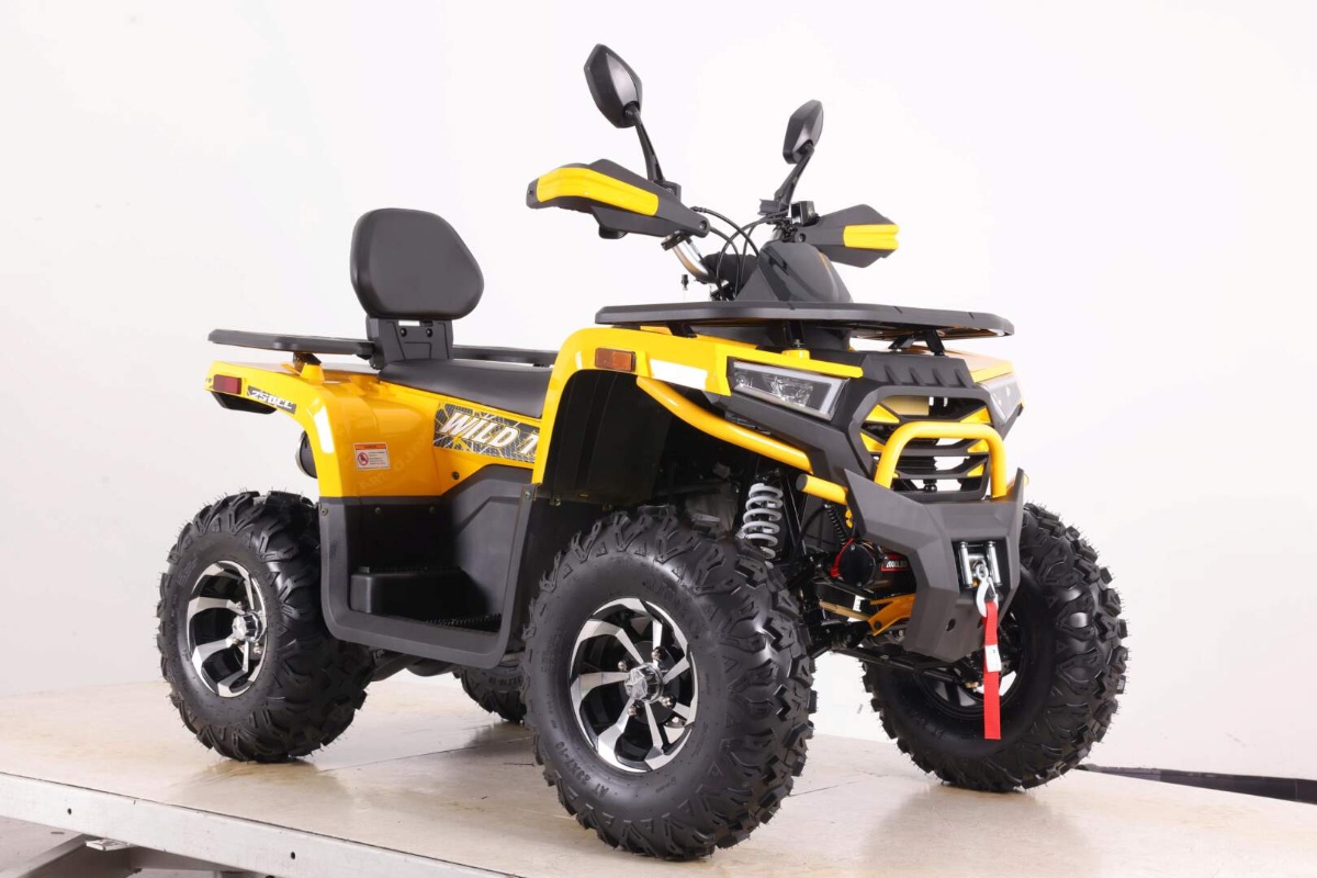 Квадроцикл MOTOLAND VOX250 WILD TRACK X PLUS фото 5