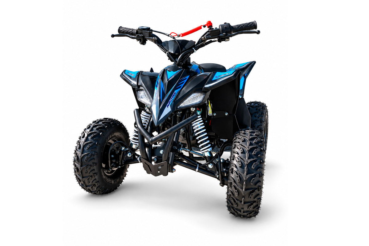 Квадроцикл MOTORHEAD Mexico 90Cc купить в Мурманске