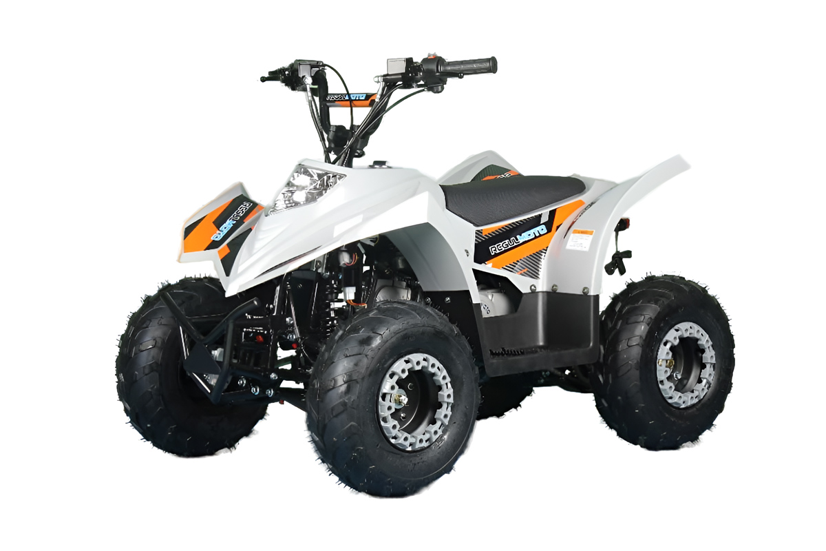 Квадроцикл REGULMOTO Sk11 купить в Сургуте