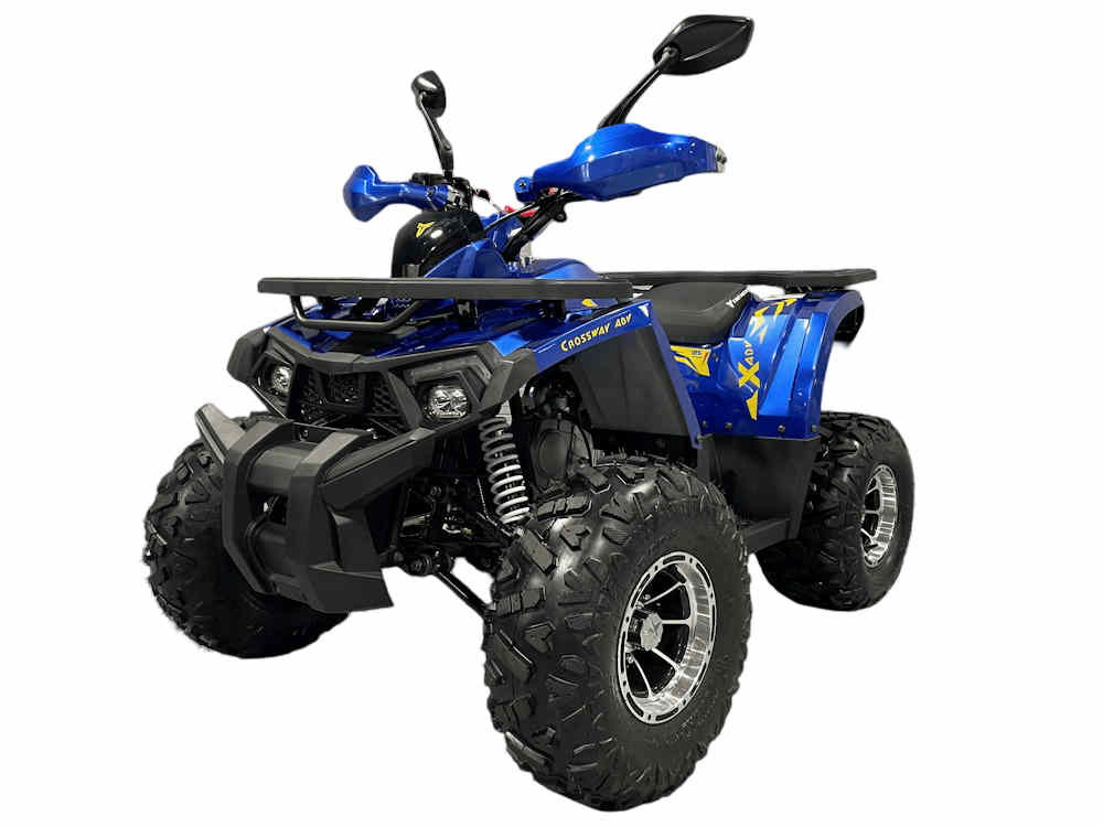 Квадроцикл TAO MOTOR 125 WILD X PRO купить в Санкт-Петербурге