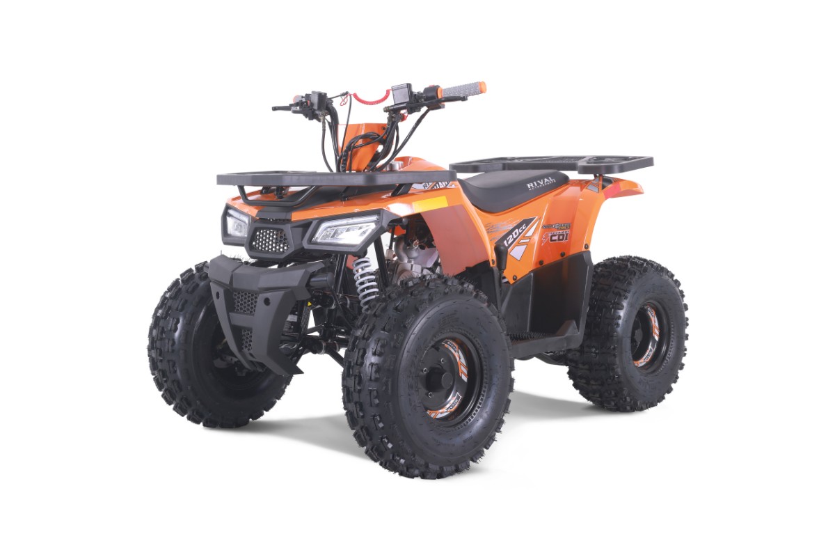 Квадроцикл TAO Mudhawk 10 фото 3