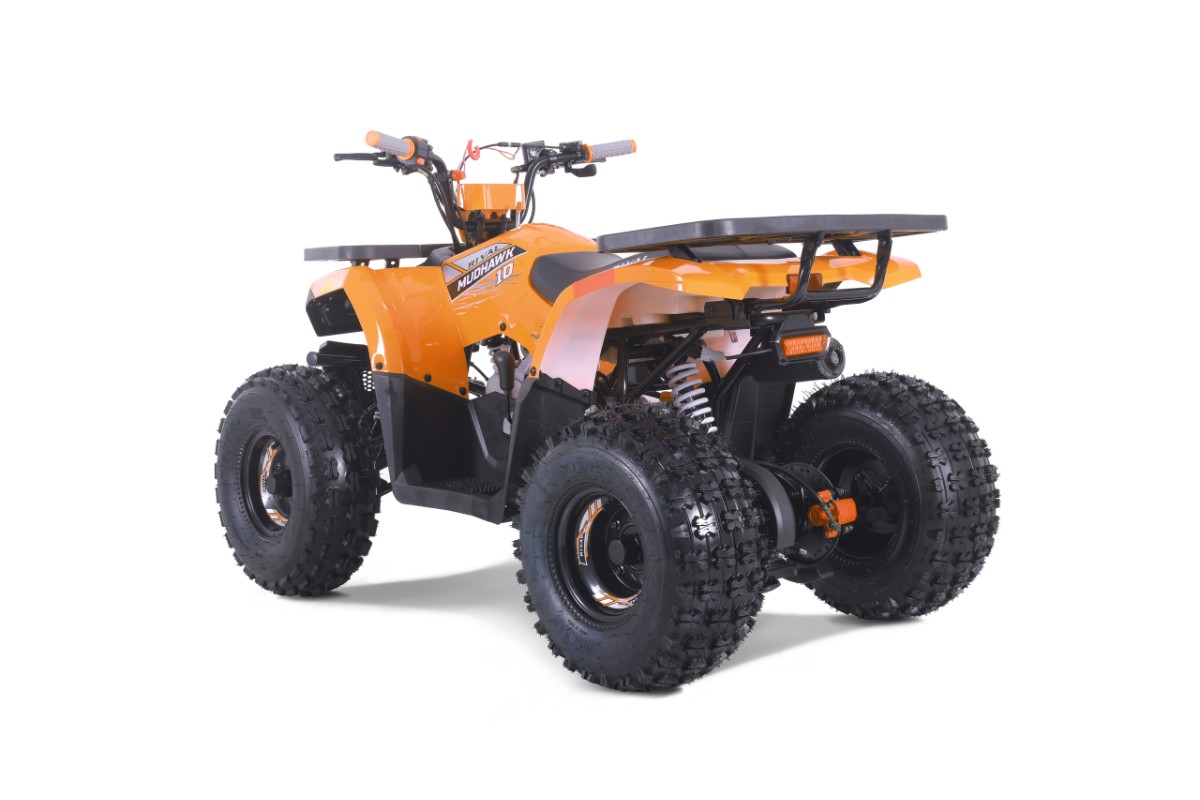 Квадроцикл TAO Mudhawk 10 фото 4
