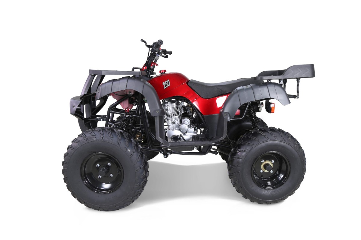 Квадроцикл TAO Rhino 250 купить в Санкт-Петербурге