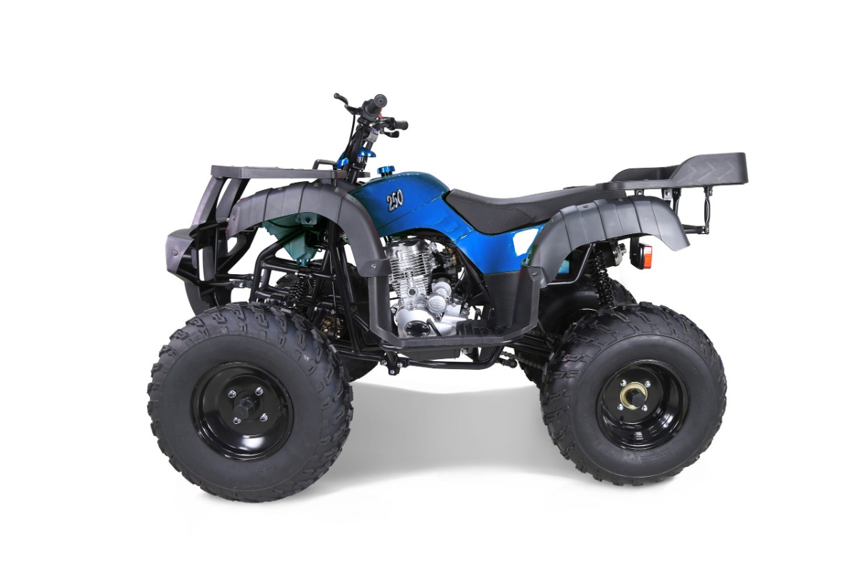 Квадроцикл TAO Rhino 250 фото 4