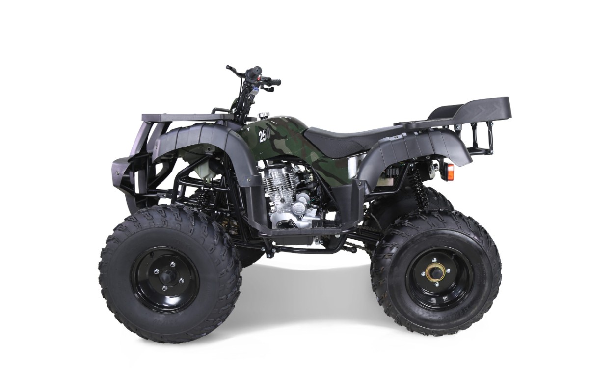 Квадроцикл TAO Rhino 250 фото 5