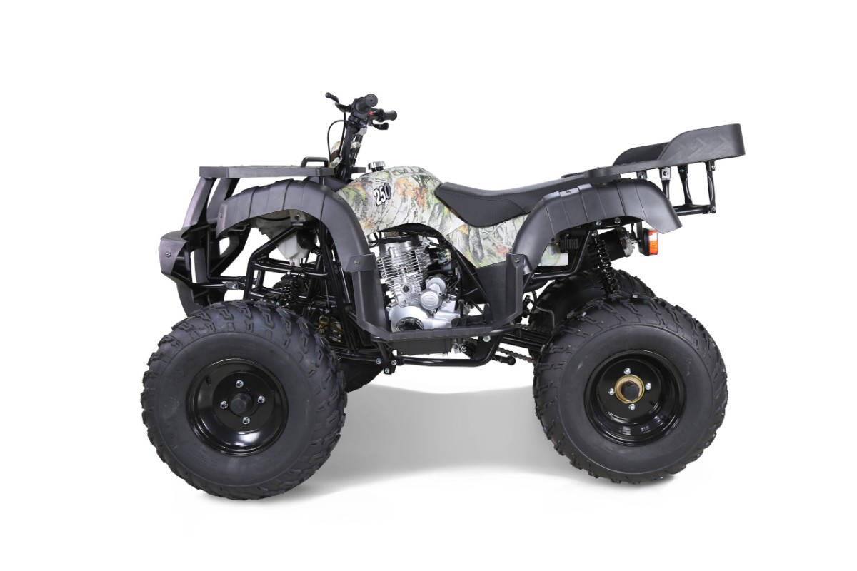 Квадроцикл TAO Rhino 250 фото 6