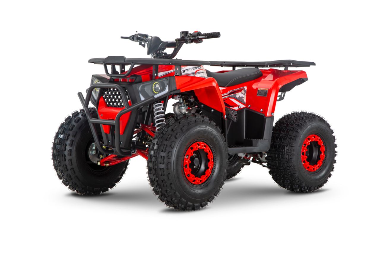 Квадроцикл WELS Trail 125 фото 1