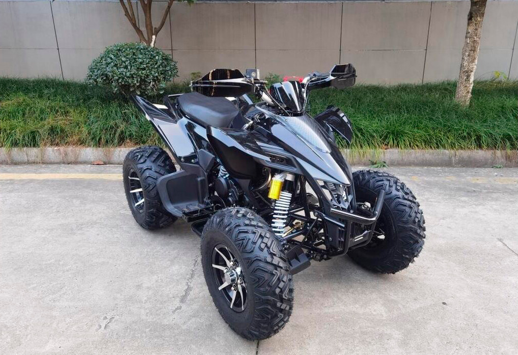 Квадроцикл МОТОМИР ATV SPORTY 250 фото 2