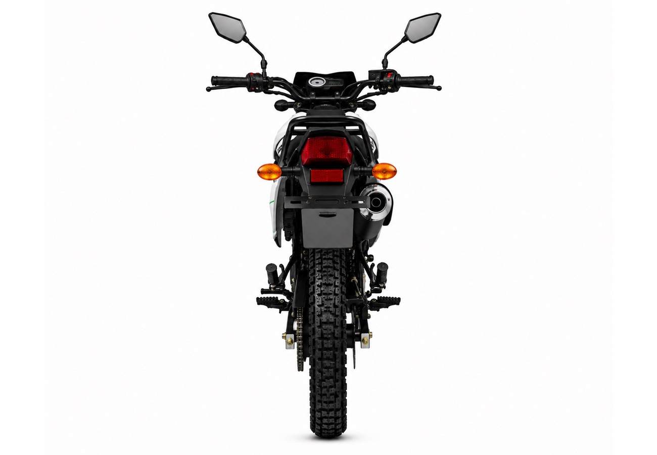 Мотоцикл SHARMAX Eurasia 250 фото 3
