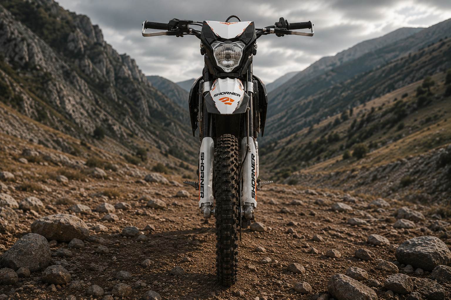 Мотоцикл SHORNER Raptor Z6 BSX 21/18 ENDURO фото 5