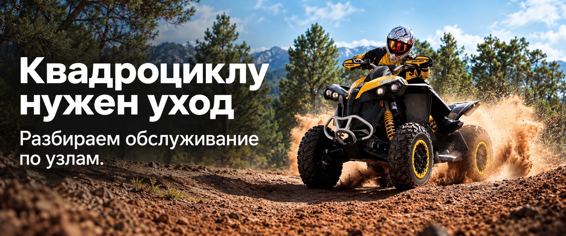 Изображение статьи